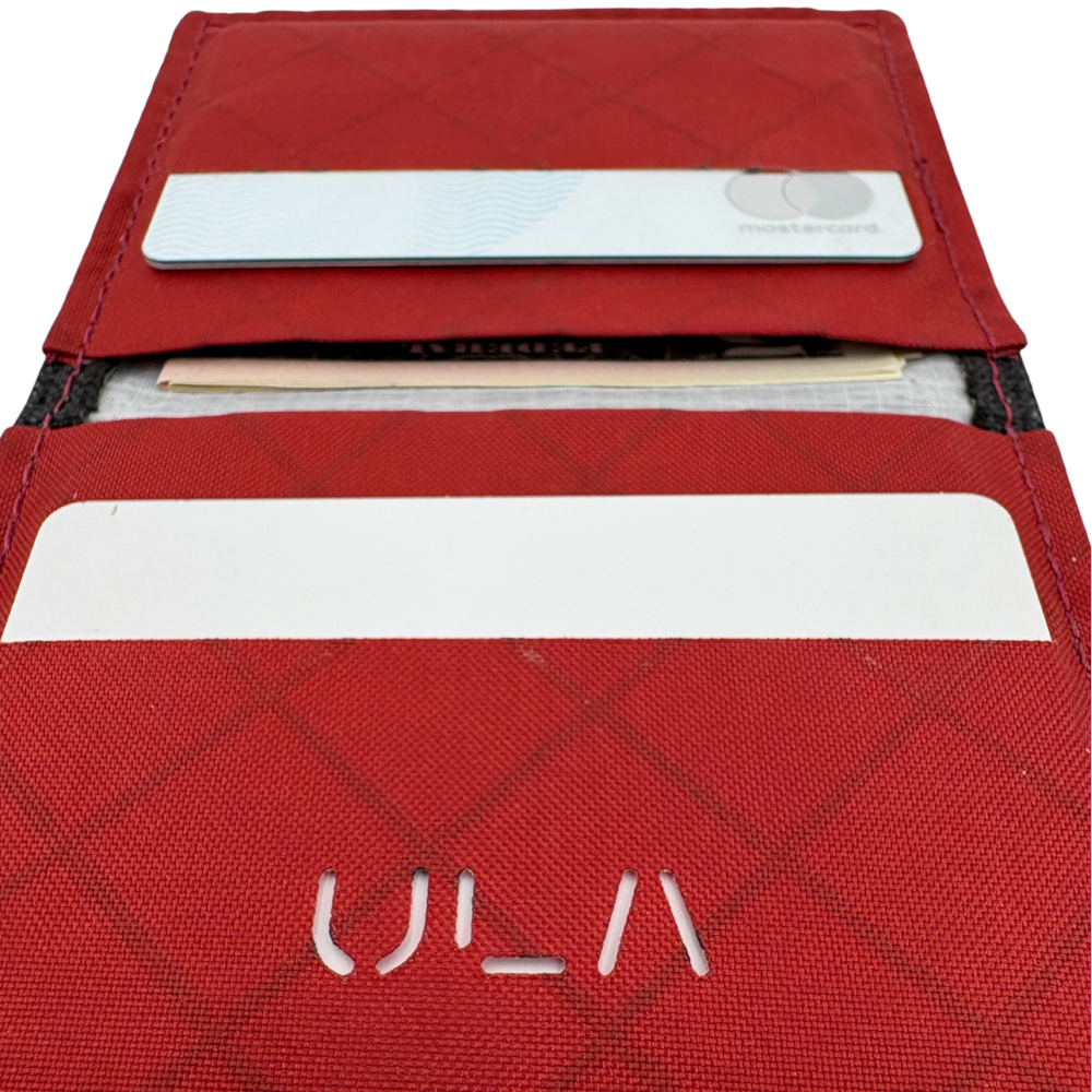 Wasatch Wallet: Open with cards and money inside